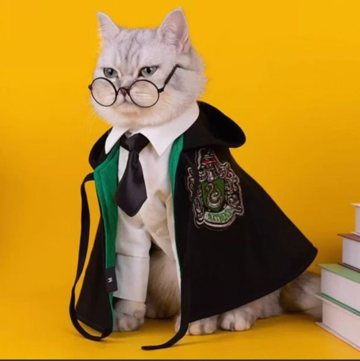 WizardPaws Academy Halloween Cat Wizard Costume with Cloak & Glasses