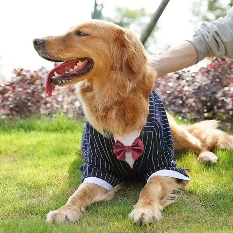 FancyGentle Groom Dog Tuxedo Suit with Bow Tie