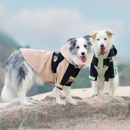 StormPaw Explorer Dog Raincoat