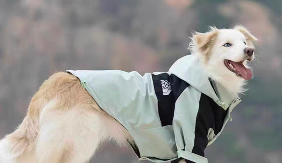 StormPaw Explorer Dog Raincoat