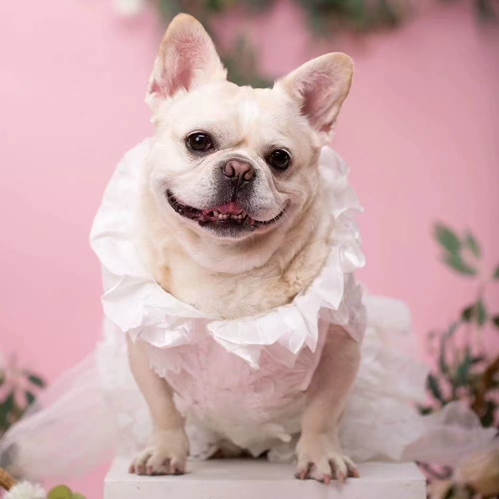 FairyTail Bride Dog Wedding Dress