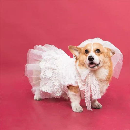 FairyTail Bride Dog Wedding Dress